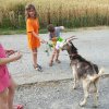 Somer20161 (6)